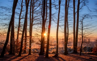 Blog Banner