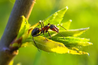 Blog Banner