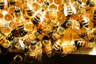 Blog Banner